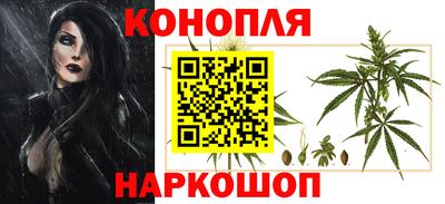 соль ск Будённовск