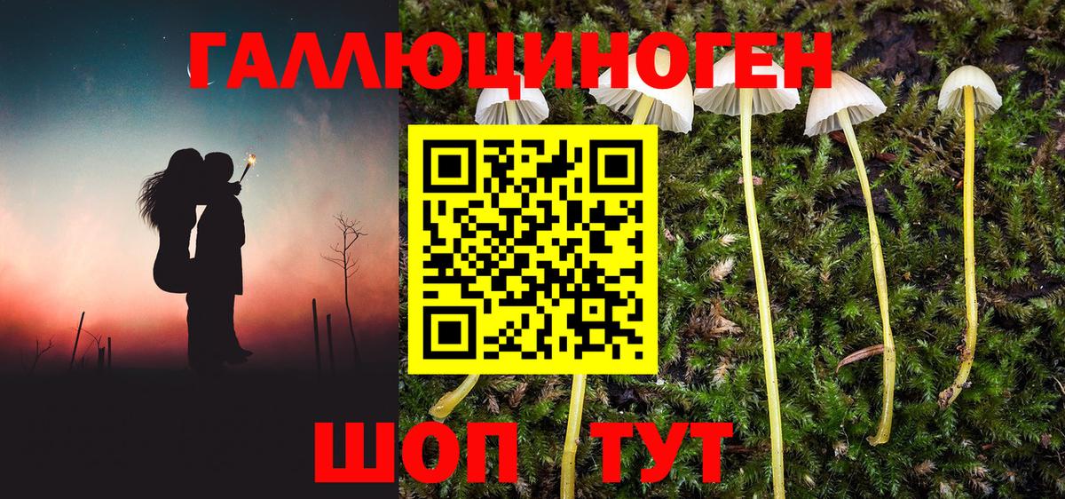 Галлюциногенные грибы GOLDEN TEACHER  Вход с VPN  Липецк 